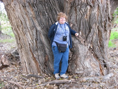Mary in front of a big cottonwood tree