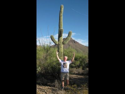 Steve mimics the saguaro