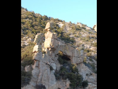 Along the road up Mt Lemmon