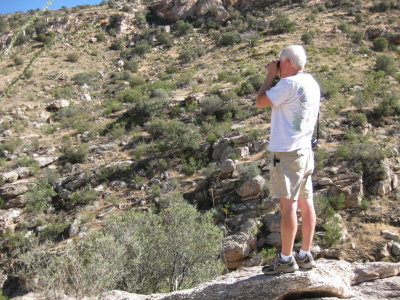 Steve capturing the environment