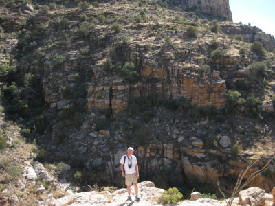 Steve looking into a ravine along the trail on Mt Lemmon