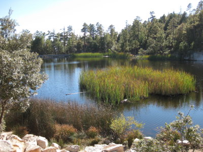 A nice stop-over on Mt Lemmon