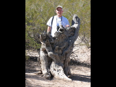 Steve behind a characterful stump at Fort Lowell, Tucson, AZ