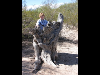 Mary takes her turn with the stump