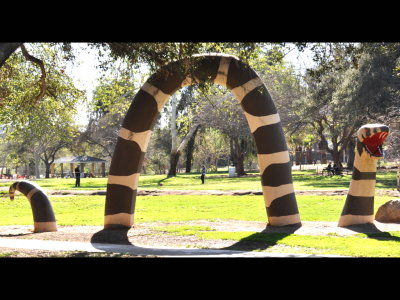 Playground snake
Kit Carson Park, CA