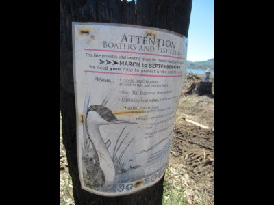 Poster along trail
Hodges Lake, CA