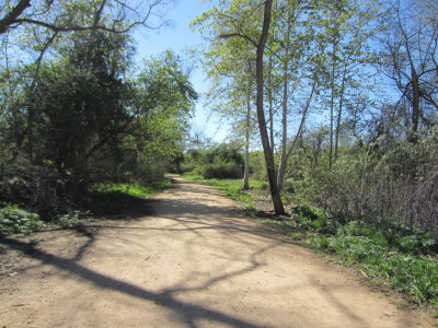 The trail at Kit Carson Park, CA