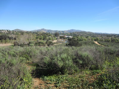 The view atop the hill
Kit Carson Park, Escondido, CA