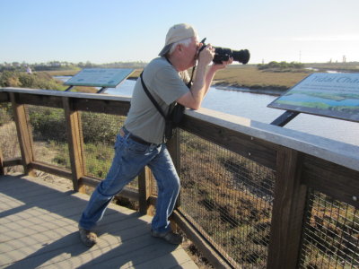 Steve photographing shorebirds
