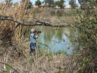 Steve trying to get a photo of grebes
Guajome Regional Park, CA