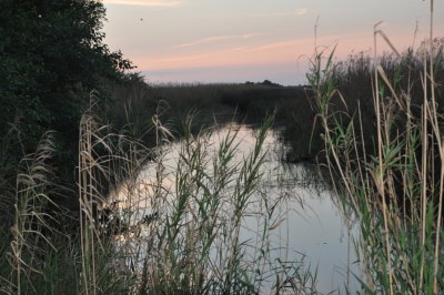 A waterway at Sabine NWR at sunset