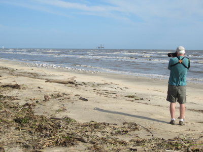 Steve, trying to get a closer shot of the terns