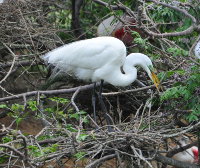 DSC_0008b.JPG