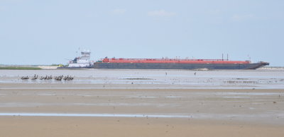 DSC_0166b.JPG