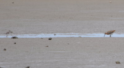 DSC_0175b.JPG