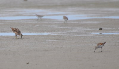 DSC_0228b.JPG