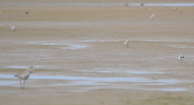 DSC_0324b.JPG