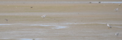 DSC_0330b.JPG