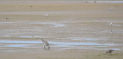 DSC_0332b.JPG