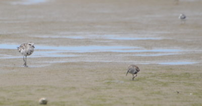 DSC_0333b.JPG