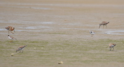 DSC_0346b.JPG
