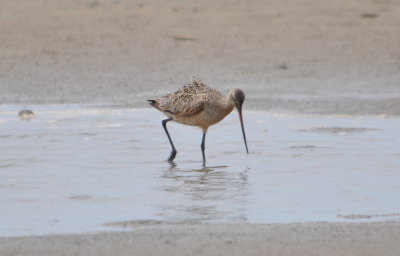 DSC_0402b.JPG