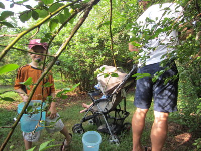 IMG_2837b.JPG