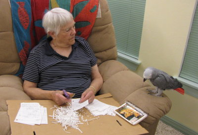 Mary put Jackie to work helping her prepare her old notebooks for scanning.
Phoebe came down to help too.
