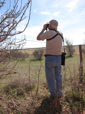 Looking for the Golden-fronted Woodpecker