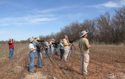 OCAS field trip group
looking for Black-crested Titmouse