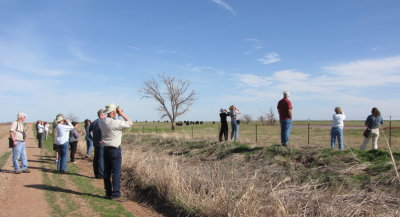 OCAS field trip group looking at Burrowing Owls
near east edge of Hackberry Flat WMA, Tillman Co, OK