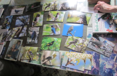 Senor Garrido showed us photos of many of the birds we were likely to see.