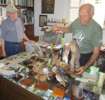 And then he brought out his collection of endemic birds,
all the while regaling us with stories of his pro tennis career,
birds he'd seen or discovered and people he met along the way.