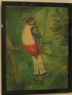 Another Cuban Trogon painting
