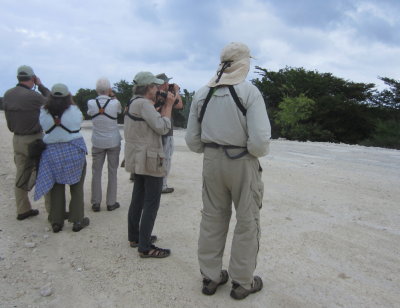 At Cayo Paredon Grande (big wall key)
looking for the Bahama Mockingbird and Mangrove Cuckoo
Doug, Renee, Patti, Marnelle and Lou
Wednesday, March 23, 2016