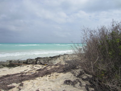 Atlantic Ocean from Cayo Paredon Grande, Cuba
March 23, 2016