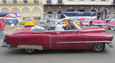 We rode to the Central Square in Old Havana, disembarked
and the taxi drivers rolled off without us.