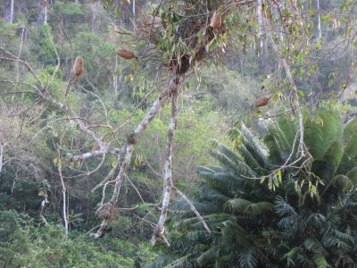 IMG_1824b.JPG