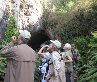 Looking at the Scaly-naped Pigeon
just outside the cave at Cueva de los Portales, Cuba
Doug, Renee, Marnelle, Lorraine, Patti, Bob
Friday, March 18, 2016