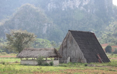 Tobacco drying barn