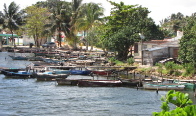 Boats moored on the Bay of Pigs
Playa Larga, Cuba