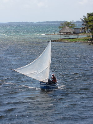 Sailboat coming into harbor