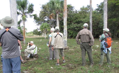 Waiting in vain for the Bare-legged Owl to reappear
near Soplillar, Cuba
Steve, Lou, Patti, Marnelle, Doug, Renee
March 20, 2016