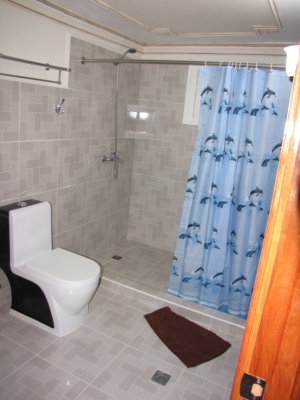 Modern toilet and shower at Casa Luis
Playa Giron, Cuba