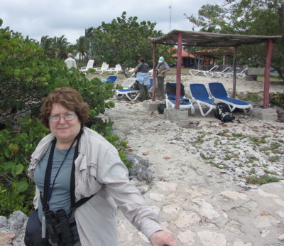 Mary investigating the beach