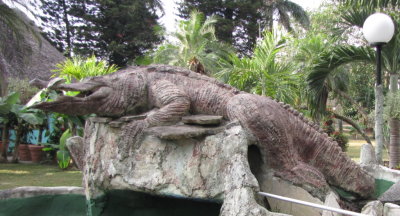 The Cuban Crocodile at Las Caneyes