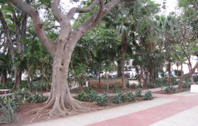 Landscape of Parque Central
