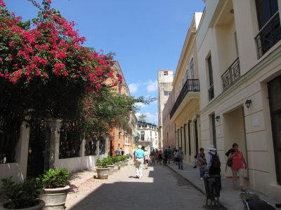 Avenue leading to our restaurant for lunch