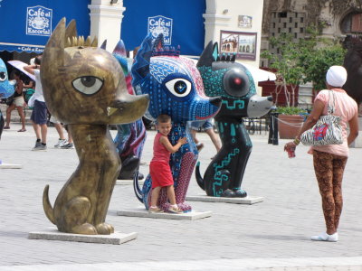 IMG_2727b.JPG