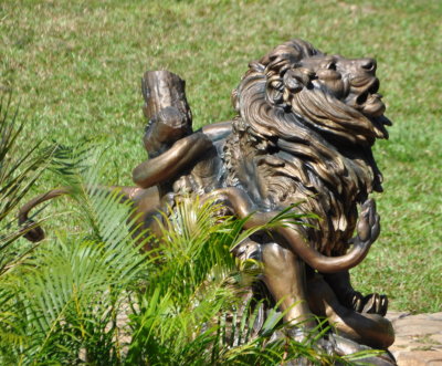 DSC_0989b.JPG